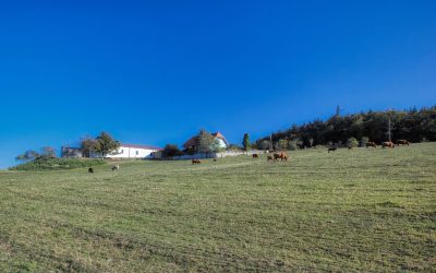 Von Egelsee zur Weiglwarte – die weniger bekannten Seiten von Krems und Dürnstein