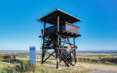 Der Gobelsberg: Schnelle After-Work-Wanderung mit grandioser Aussicht