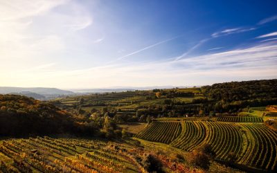 Der “Korkenzieher” – wundervoller Ausblick auf 5 Bezirke!