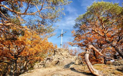 Lebendige Herbstfarben auf dem “Toten Berg” bei Rossatzbach