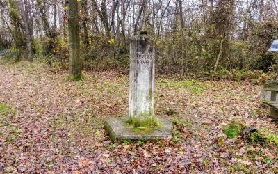 “tut gut” Wanderweg Grafenegg – Route 4: Zum fünfeckigen Stein