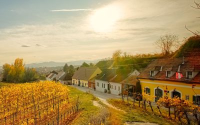 Wanderung durch Österreichs längste Kellergasse