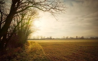 “tut gut” Wanderweg Grafenegg – Route 2: Den Kamp entlang