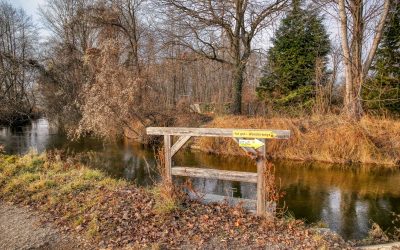 “tut gut” Wanderweg Grafenegg – Route 1: Den Mühlkamp entlang