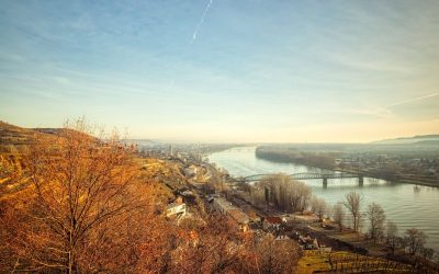 Eine kurze Rundwanderung über den Pfaffenberg bei Krems-Förthof