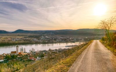 Rundwanderung hoch über Krems-Stein