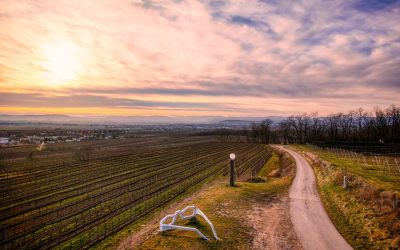 “tut gut” Wanderweg Grafenegg – Route 3: Durch die Weinberge zur Engabrunner Warte