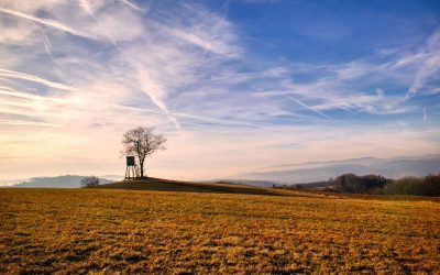 “Tut gut” Wanderweg Gerolding – Route 1: Kleiner Geroldinger Rundwanderweg “Vogel”