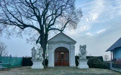 Droßer Wanderweg D5: Durch den Wald nach Lengenfeld – über Felder zurück