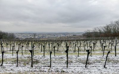 Die Spiesberg-Wanderung in Lengenfeld