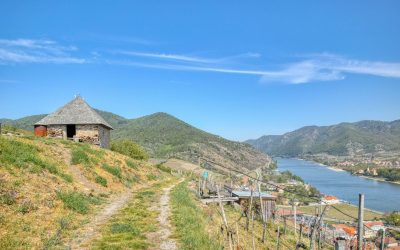 Wanderung auf den Tausendeimerberg