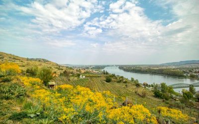 Kremser Rieden- und Wanderkarte – Wanderung 4: Rundwanderweg Förthof