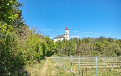 Kremser Rieden- und Wanderkarte – Wanderung 22: Weinriedenwanderung Hollenburg