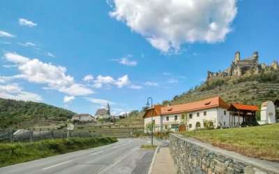 Rundwanderung über die Ruine Senftenberg