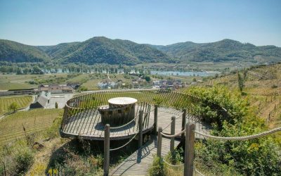 Rundwanderung über die Weinbergschnecke bei Dürnstein