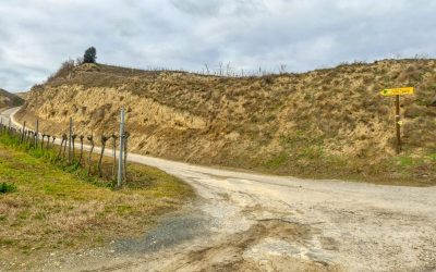 Der Weinberg-Wanderweg in Gedersdorf