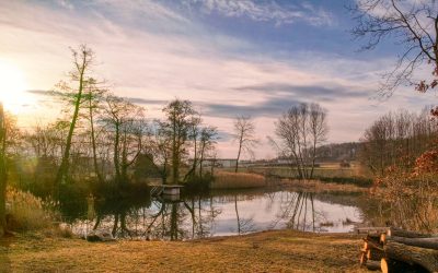 Droßer Wanderweg D1: Über den Föhrenteich zum Poberkreuz und über Priel zurück