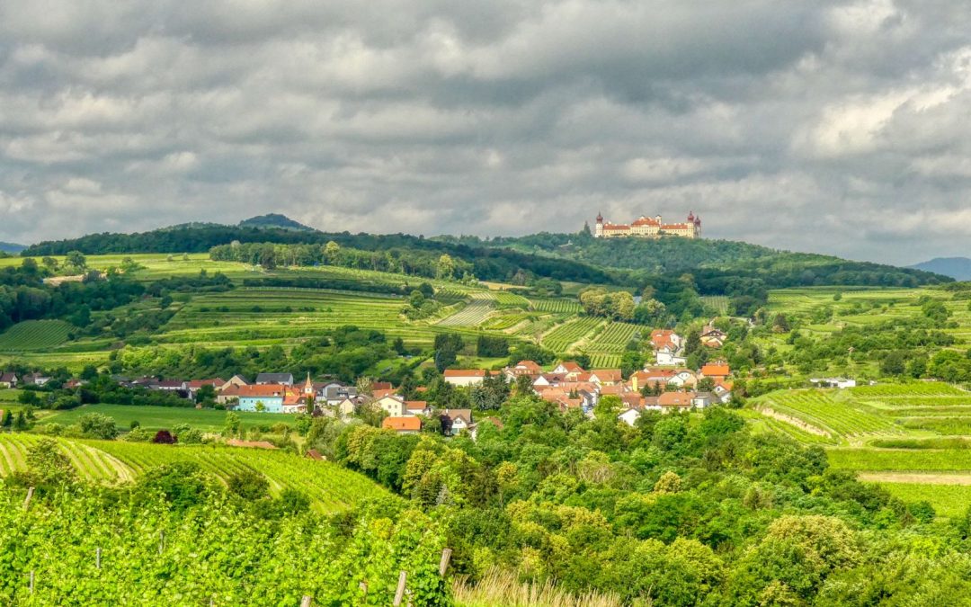 Krustettner Weinrieden Wanderwege: Eichbühel