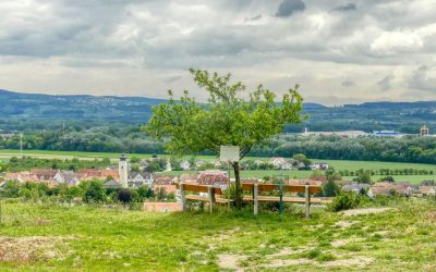 Die Gebling-Runde in Rohrendorf