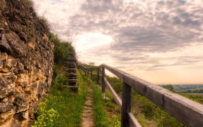 Rundwanderung über den Hauersteig in Rohrendorf