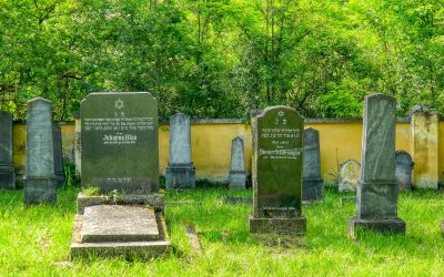 Rundwanderung zum Jüdischen Friedhof von Kirchberg am Wagram