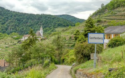 Rundwanderung Senftenberg – Aussichtsturm – Motocross-Strecke