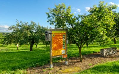 Der Wachauer Marillen-Erlebnisweg in Krems-Angern