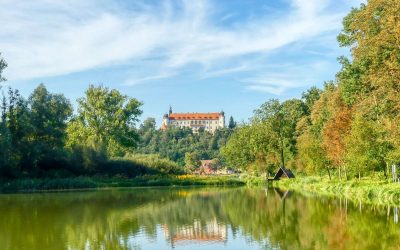 Der Karpfenlehrpfad rund um den Sitzenberger Schlossteich