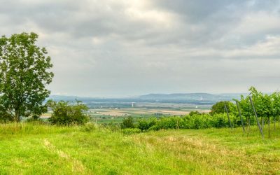 Wanderung auf den Hengstberg bei Gösing