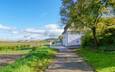 Lauf- und Nordic-Walking-Zentrum Wachau – Strecke 3: Kellergasse