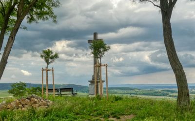 Der Gaisberg-Rundwanderweg in Straß im Straßertale