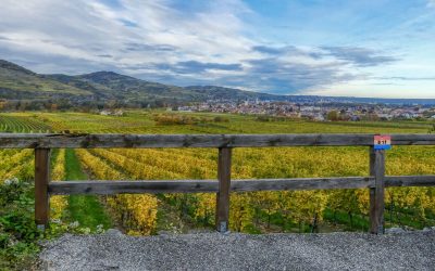 Lauf- und Nordic-Walking-Zentrum Wachau – Strecke 2: Süßenberg