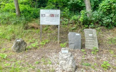 Der Themenweg “Natur und Stein” in Mautern – Kurze Variante