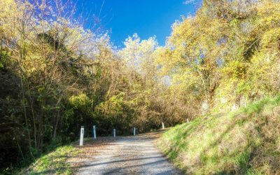 Die Rosshimmel-Runde in Rohrendorf