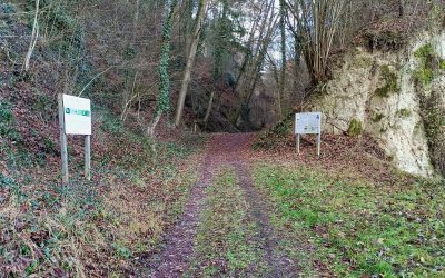 Lauf- und Nordic-Walking-Zentrum Wachau – Strecke 4: Lehrpfad