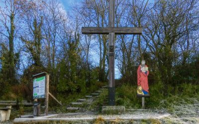 Von Statzendorf über das Markuskreuz auf den Schauerberg