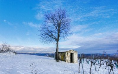 Rundwanderung über den Schilterner Berg