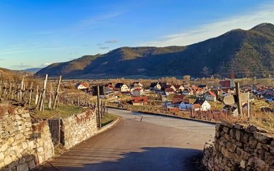 Rundwanderung von Weißenkirchen über das Cholerakreuz und den Weitenberg