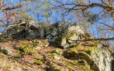 Von Rothenhof über den Müllnergraben auf den Loibenberg