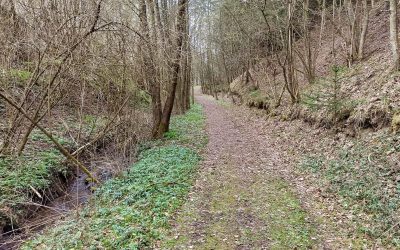 Der Lengenfelder Feen-Waldweg