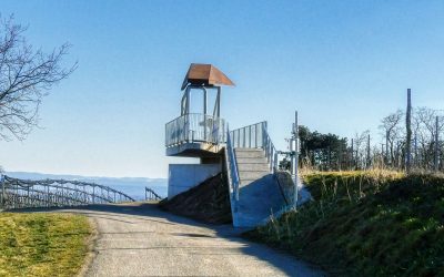 “Tut gut” Wanderweg Großriedenthal – Route 2: Eisenhut & Goldberg