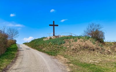 Der Kogelbergweg in Zöbing