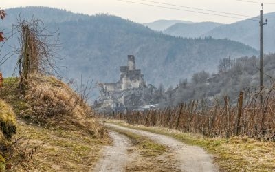 Senftenberger Wanderweg Nr. 12: Weinwanderweg