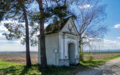 Der Bründlstallweg in Kirchberg am Wagram