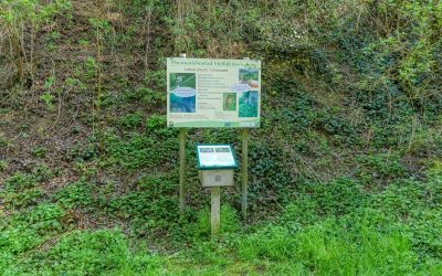 Der Themenlehrpfad Biodiversität – “Die Vielfalt des Lebens” in Sitzenberg