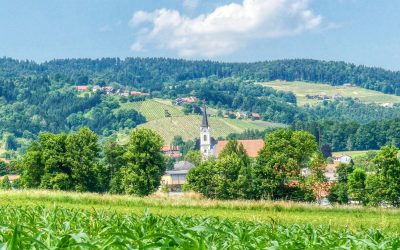 Der Kürbis-Spazierrundweg in Bad Gams