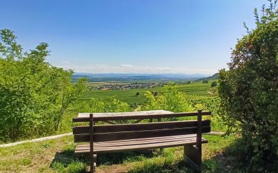 Von Nußdorf ob der Traisen auf den Parapluiberg