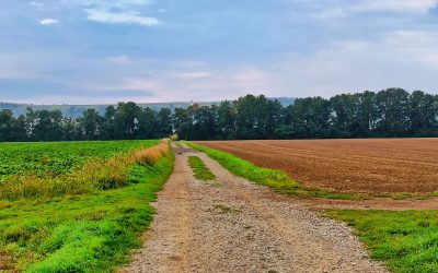 Der “Tut gut”-Schritteweg “Gesundes Wölbling”