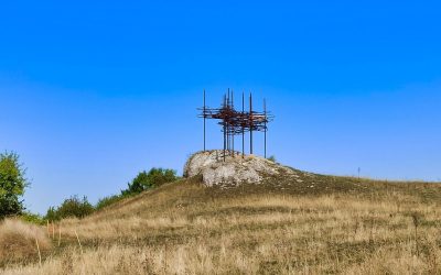 Der Flug des Falken – Weinwanderpark Falkenstein: An den Klippen des Urmeeres / “Tut gut!” Wanderweg Falkenstein – Route 2