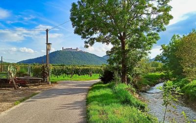 Der “Tut gut!”-Schritteweg “Gesundes Furth bei Göttweig”